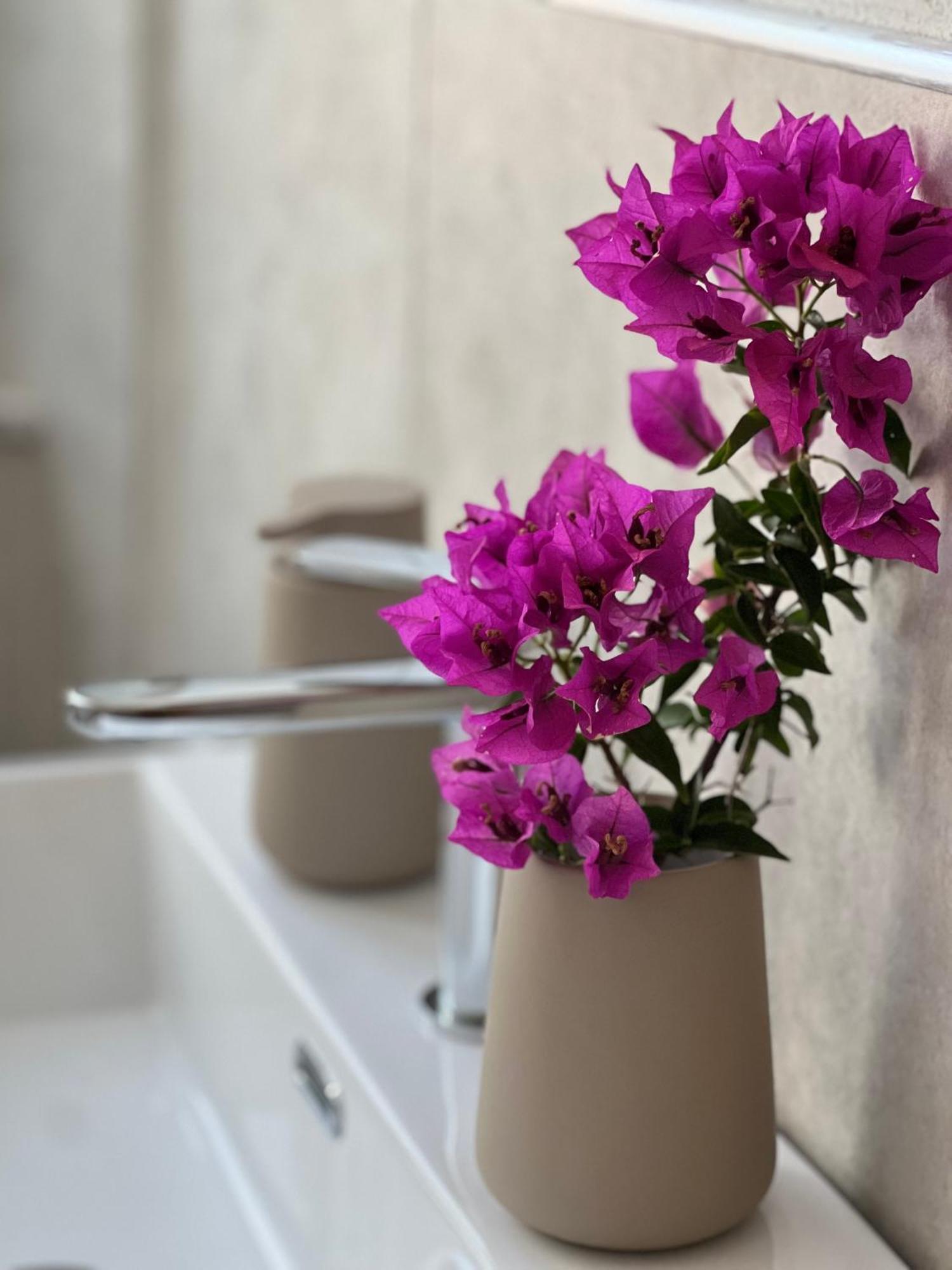 Il Mandorlo Bed and Breakfast Santa Teresa Gallura Eksteriør billede